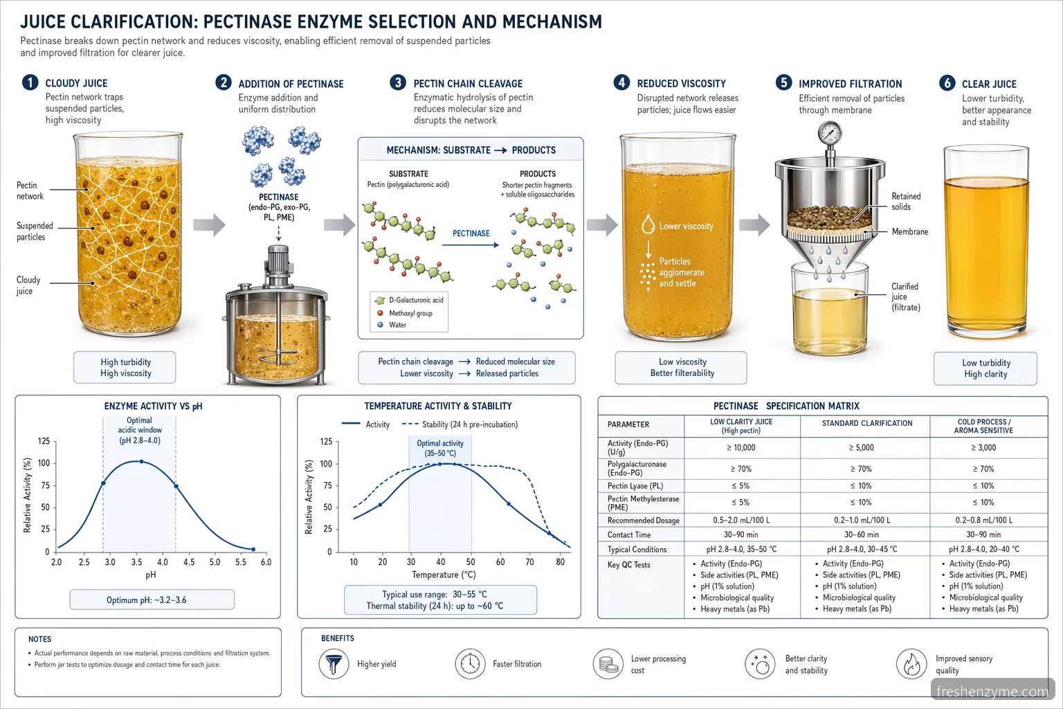 fruit enzyme for juice clarification process diagram showing pectin breakdown, filtration flow, pH and temperature windows