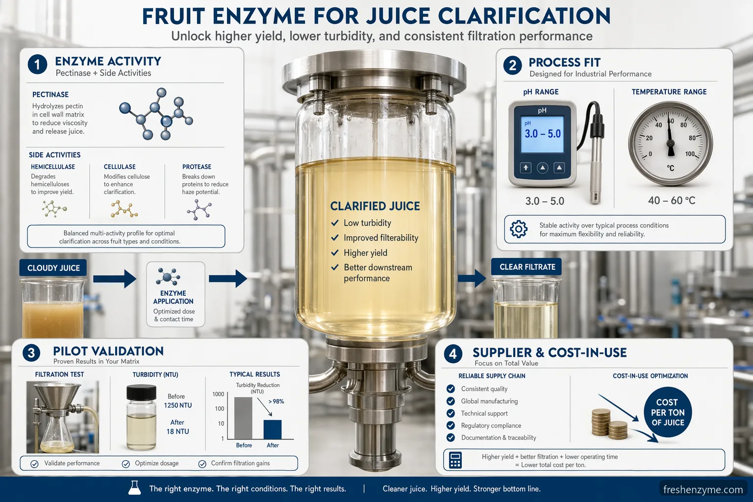 fruit enzyme for juice clarification specification checklist with enzyme activity, process fit, validation, and cost icons