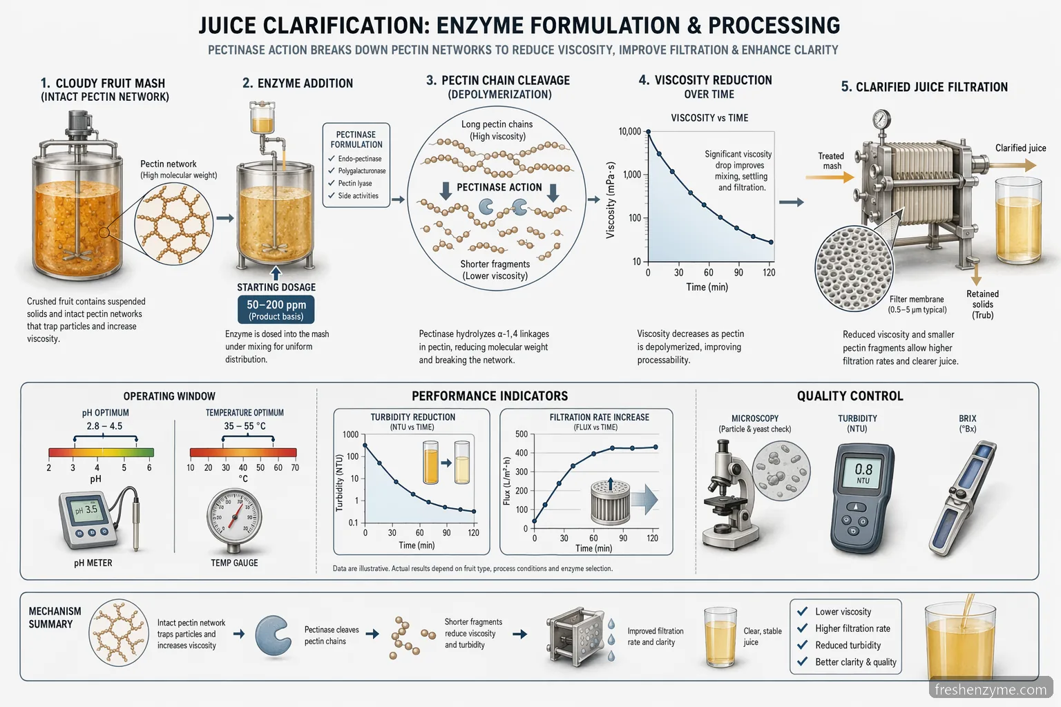 fruit enzyme supplier for juice clarification process diagram showing pectin breakdown, pH-temperature window, and filtration flow