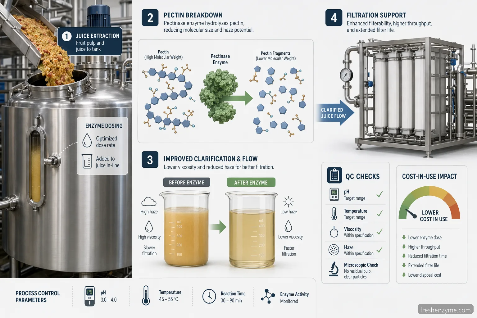 fruit enzyme supplier for juice clarification guide infographic with dosing, filtration, QC, and cost-in-use cues