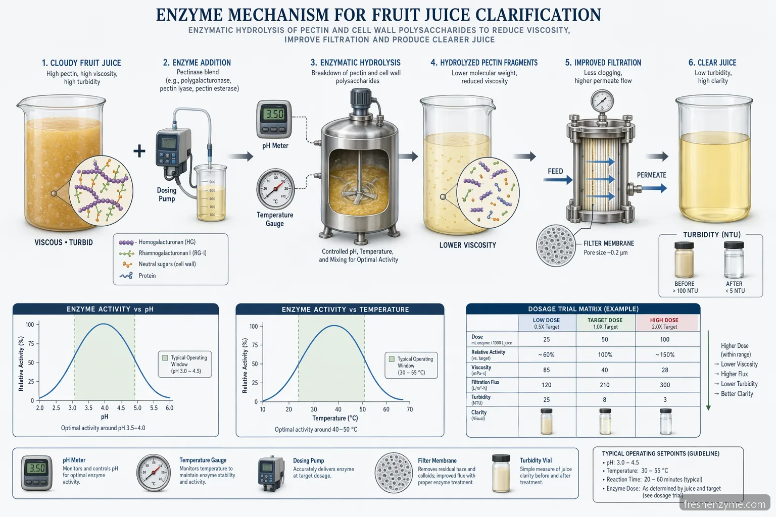 industrial fruit enzyme juice clarification dosage, pH, and temperature diagram showing enzyme action, operating windows, and filtration