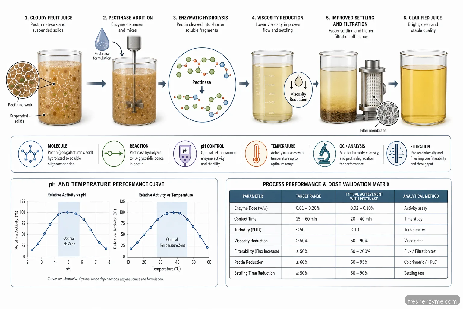 Industrial juice clarification enzyme juice clarification formulation guide: pectin breakdown, conditions and filter flow