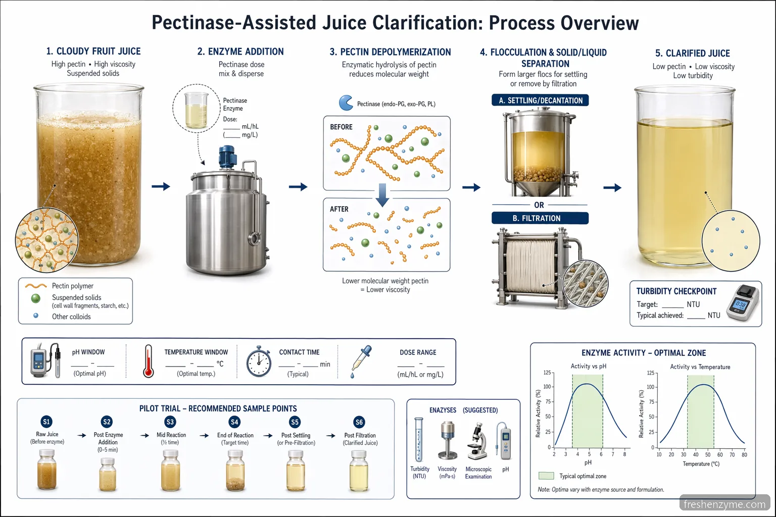 juice clarification enzyme for juice clarification process diagram with pectinase reaction flow, pH and temperature windows, and QC outputs