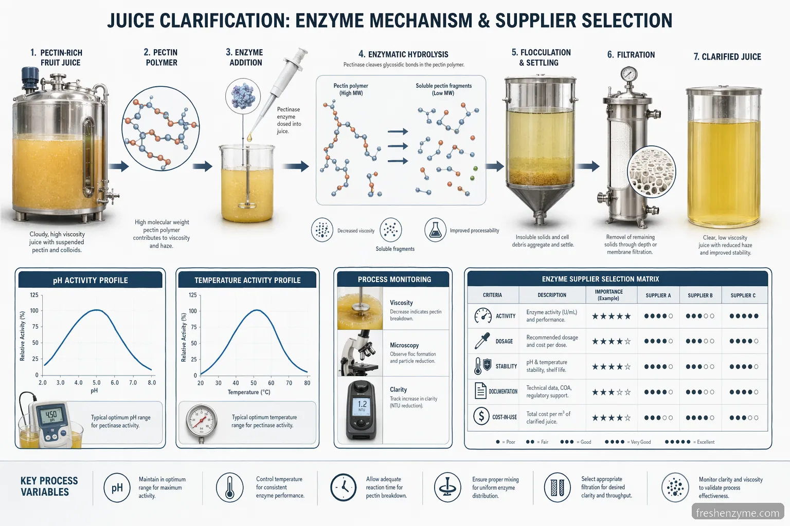 juice clarification enzyme supplier for juice clarification process showing pectin breakdown, settling, filtration and clarity curves