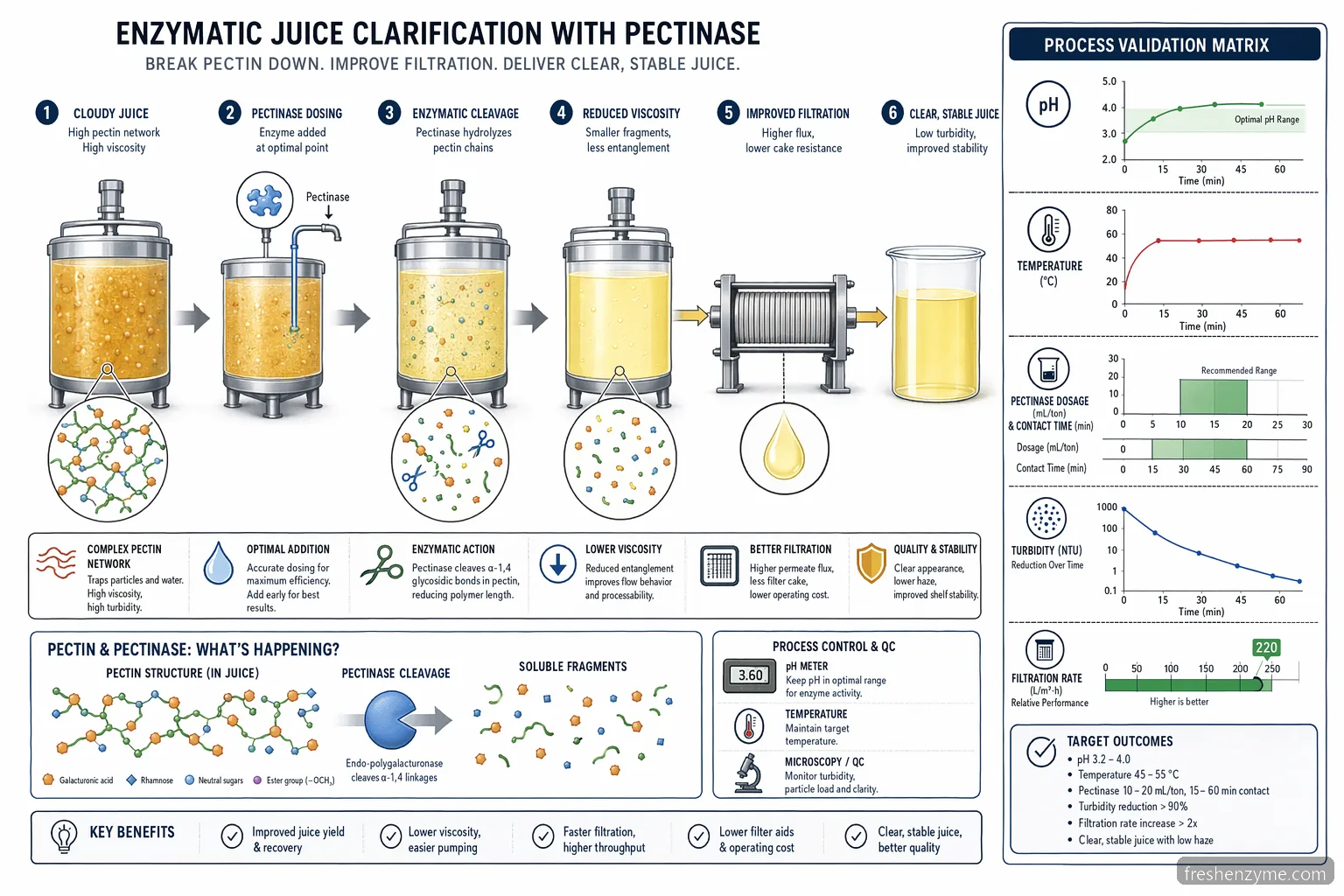 pectinase juice supplier for juice clarification process diagram with pH, temperature, dosing, filtration, and turbidity metrics